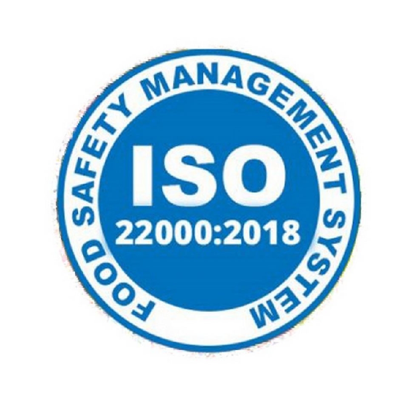 logo iso